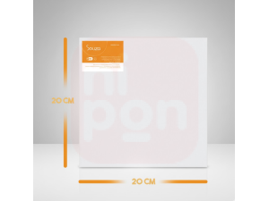 Tela Para Pintura 20x20 - Souza